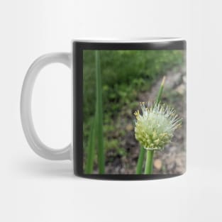 Green Onion Blossom 2 Mug